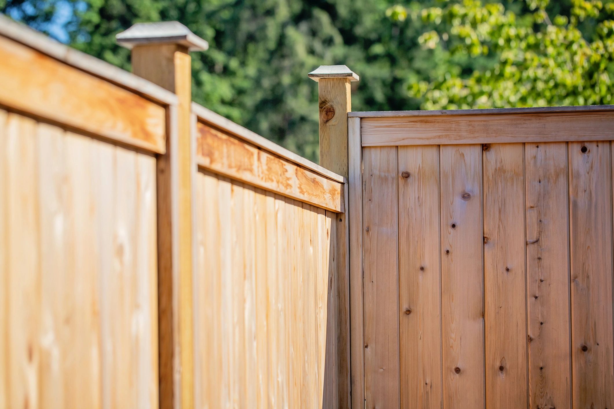 Untreated cedar privacy fence