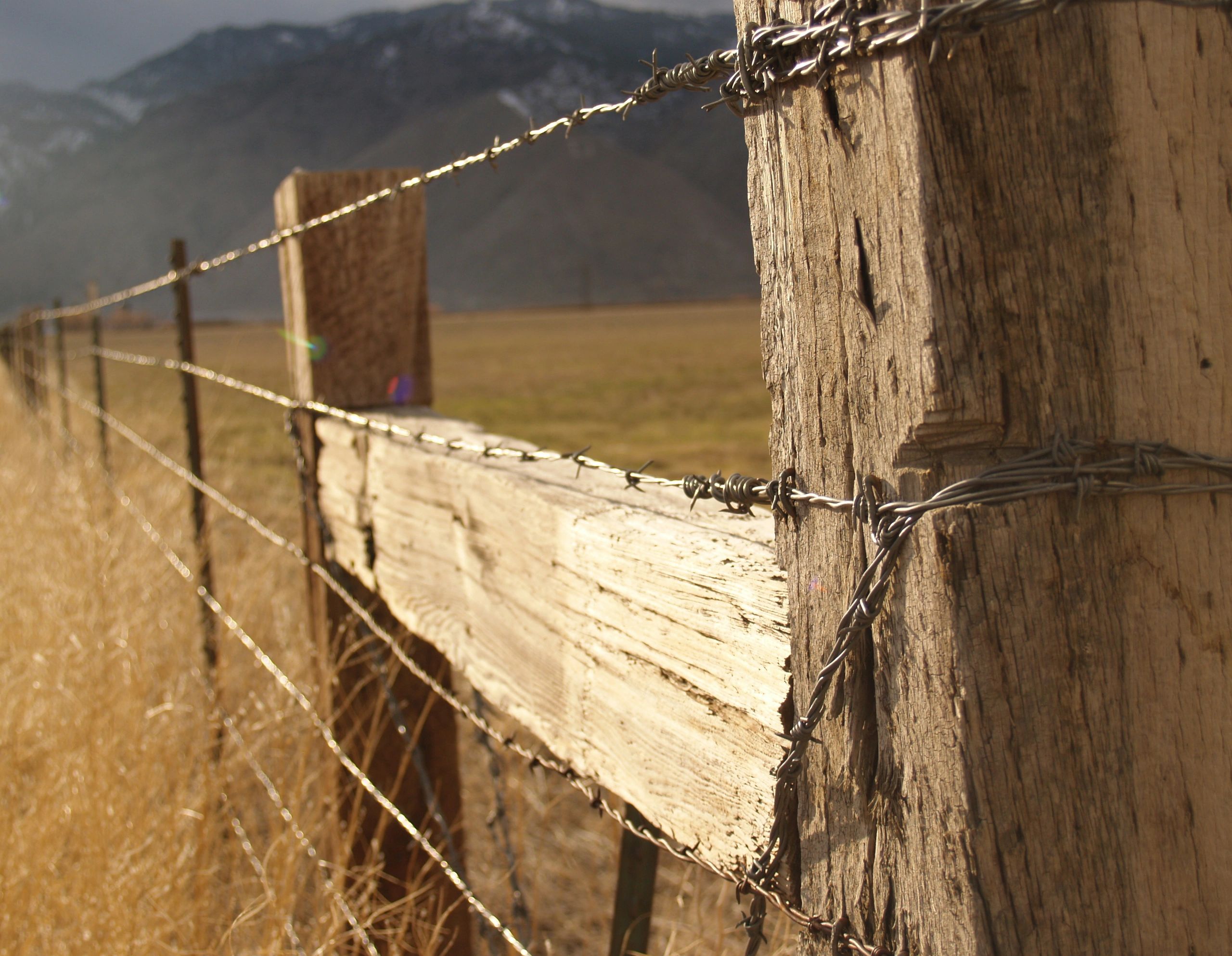 Close-up of a wooden fence post with a cap and barbed wire strands