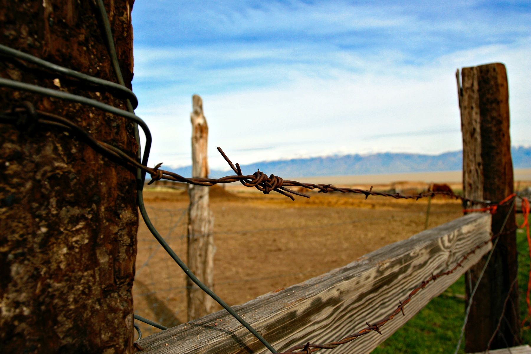 Wide shot of a barbed wire fence. Mountains and sky in background.