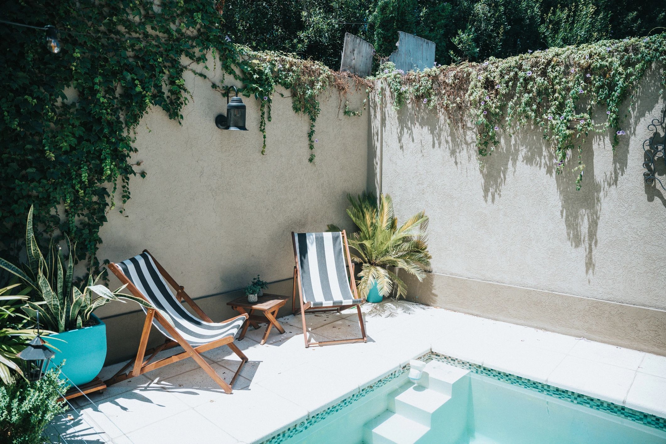 Pressure-treated pine fence behind a backyard pool