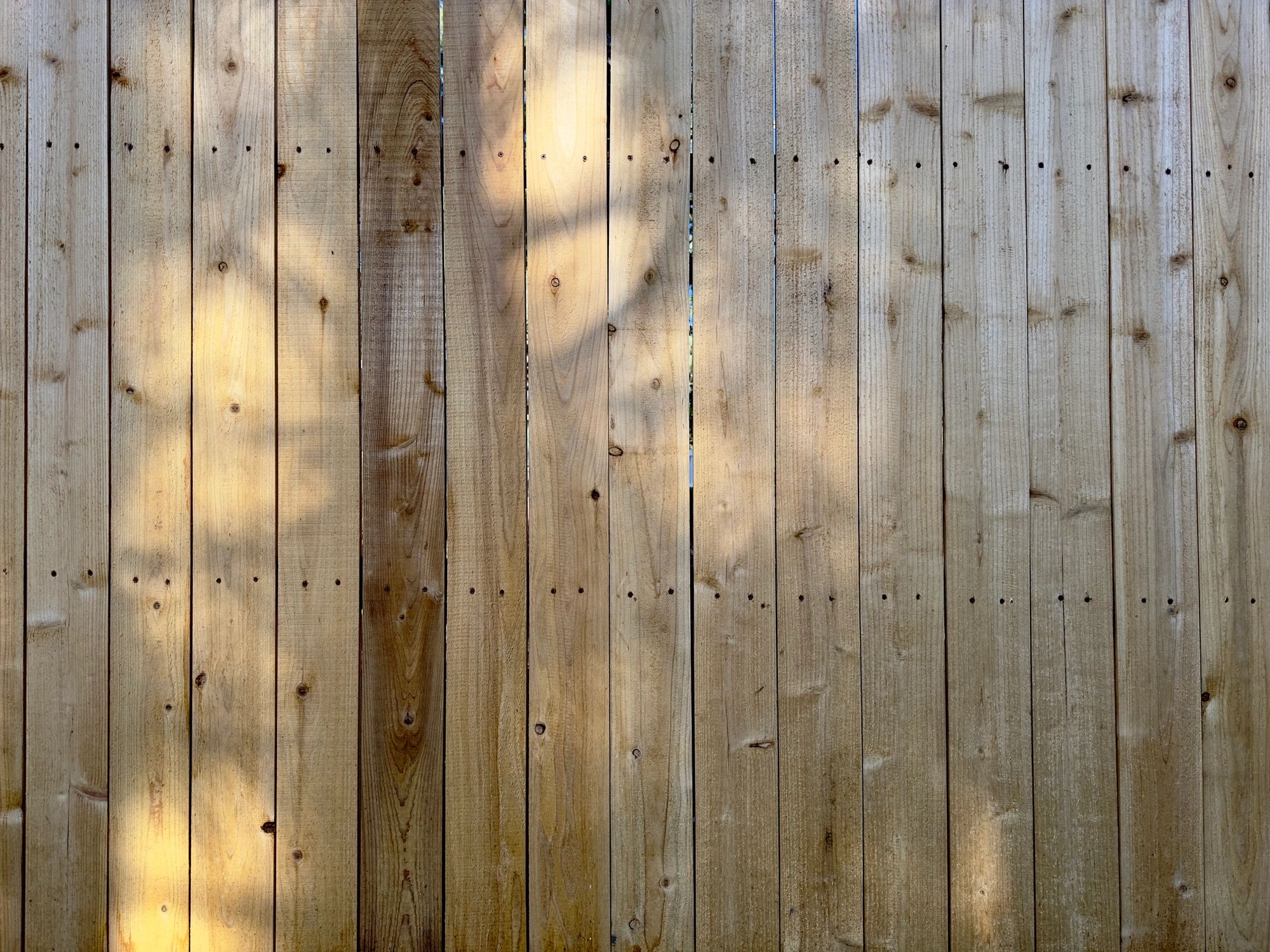Wood privacy fence along a backyard