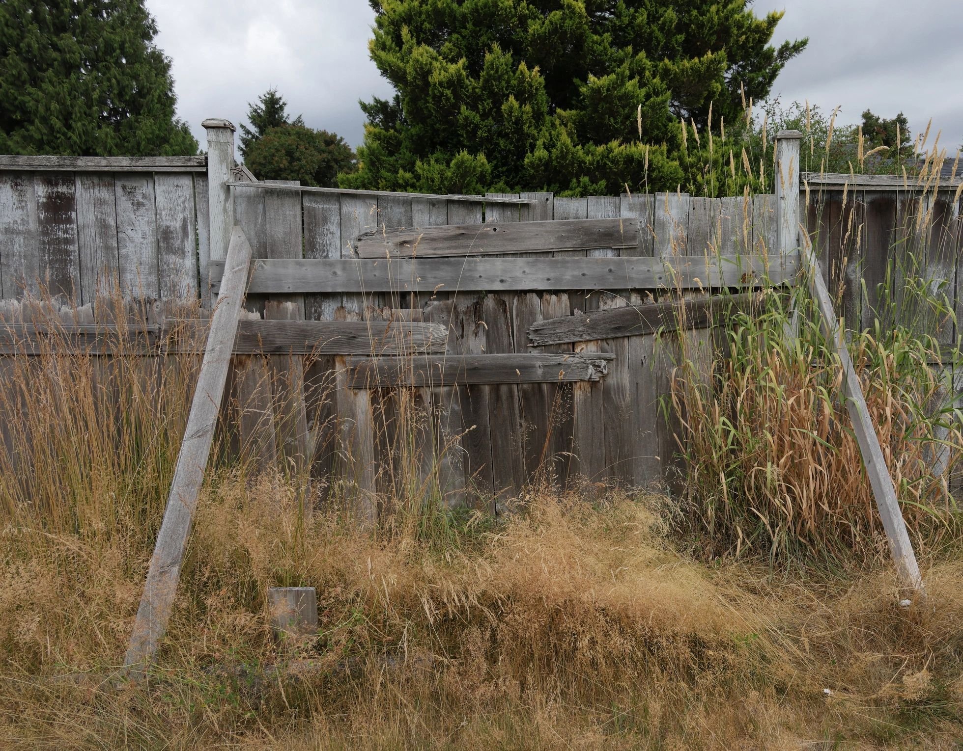 Dog-eared wood privacy fence