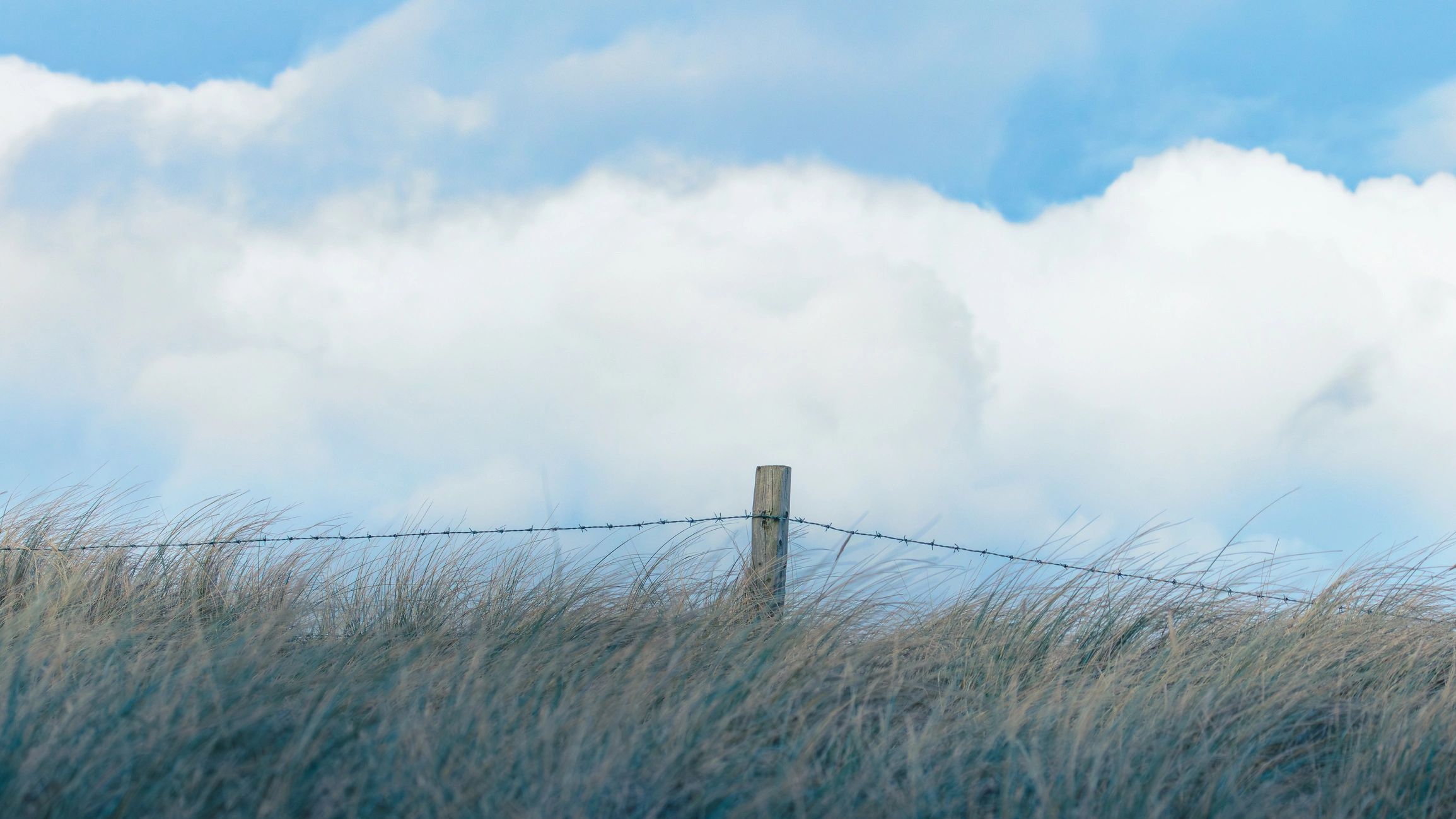 Barbed wire run across open land